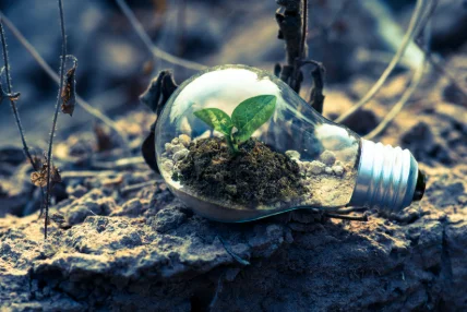 THE IMPACT OF AI ON SUSTAINABLE DEVELOPMENT GOALS